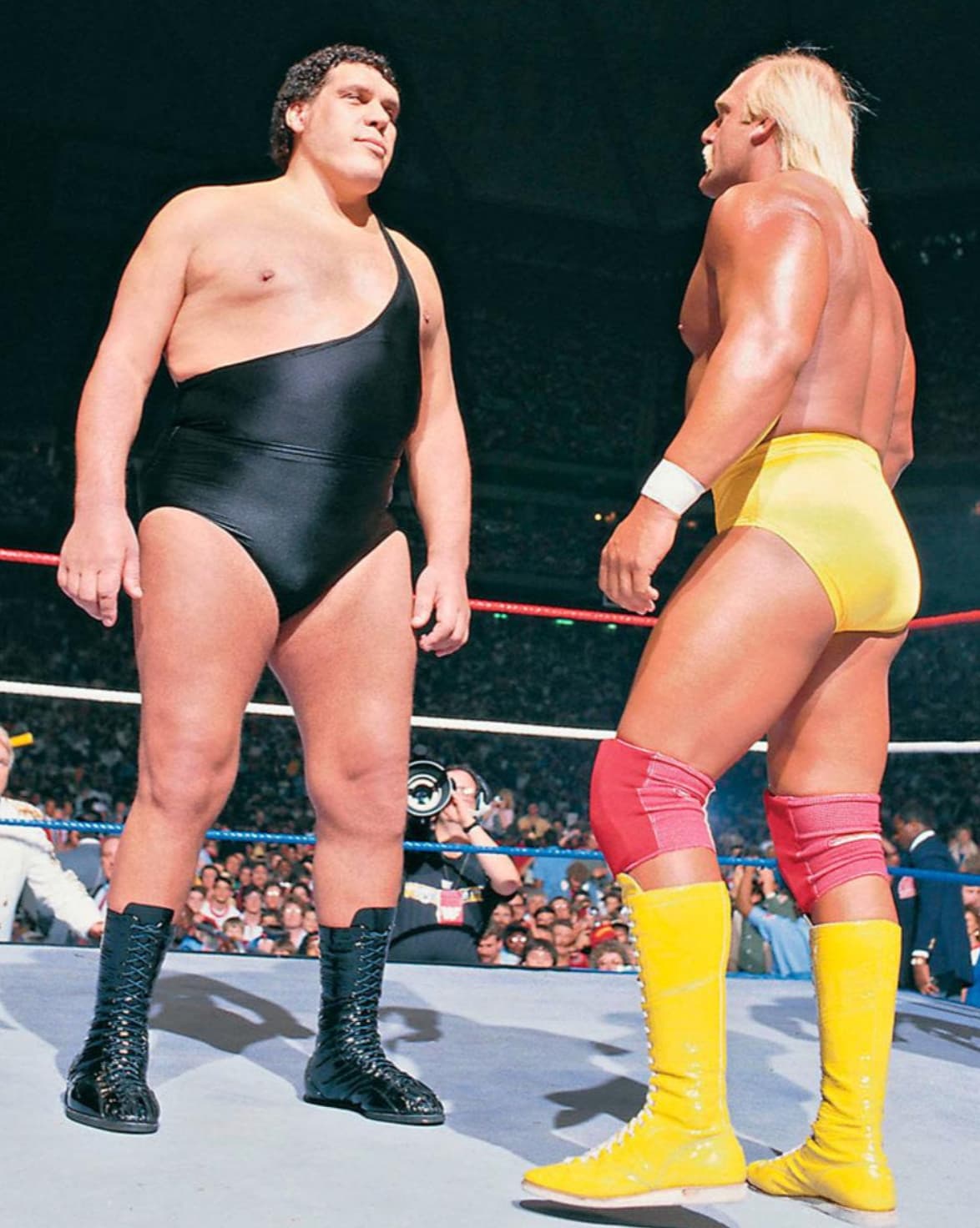 hulk hogan vs andre the giant wrestlemania 3